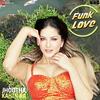 Funk Love - Yo Yo Honey Singh